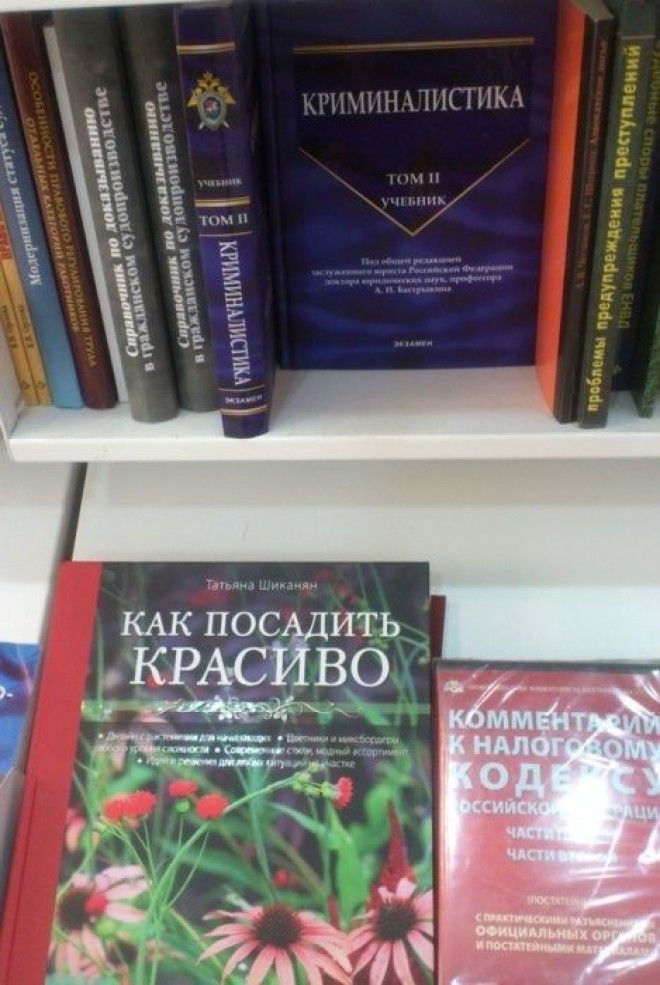 Приколы в книжных магазинах заставляющие улыбнуться во весь рот