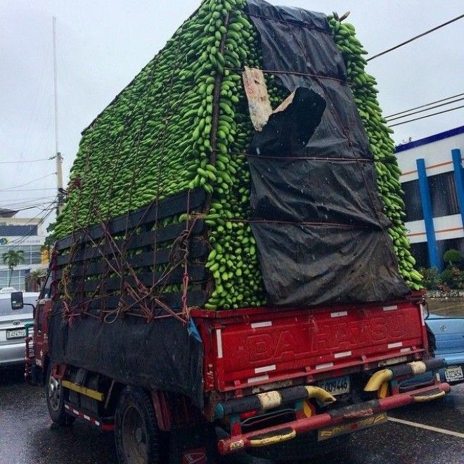 Люди покупающие за раз по 10 рулонов туалетной бумаги оценят этот пост Впрок запасливые люди запасы прикол юмор