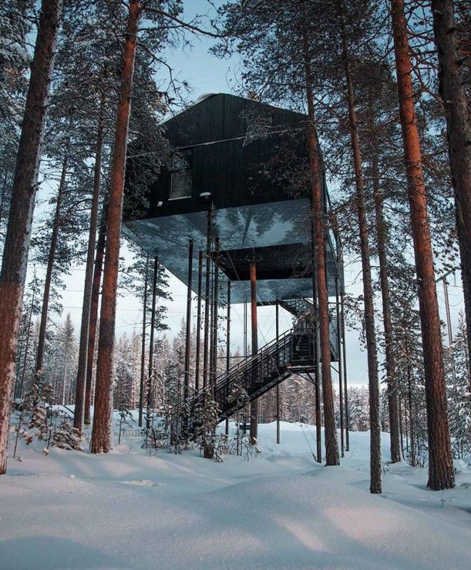 Дом принадлежит сети отелей Treehotel Отель дерево швеция