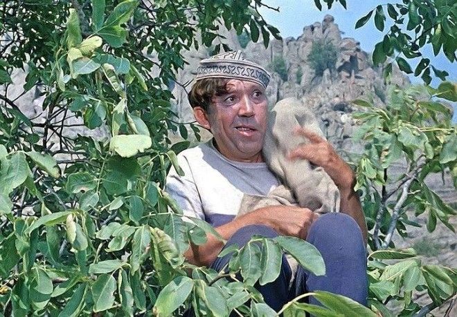 Интересные факты о фильме Кавказская пленница кавказская пленница факты фильм шедевр кино