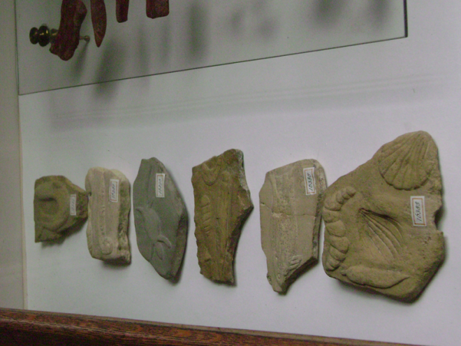 Окаменелости Берингера 1725 история наука открытие