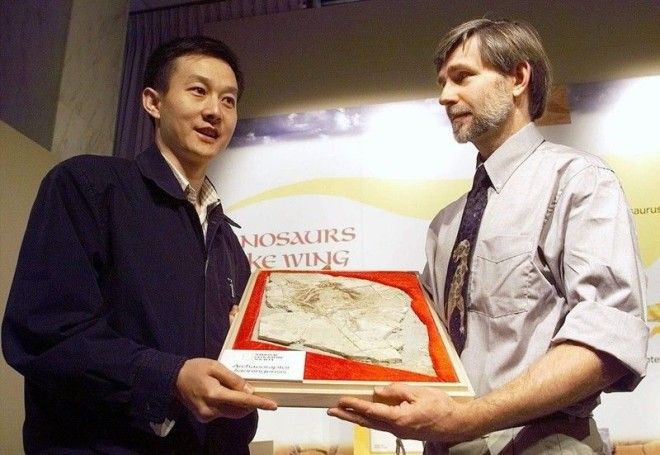 Останки Археораптора 1999 история наука открытие