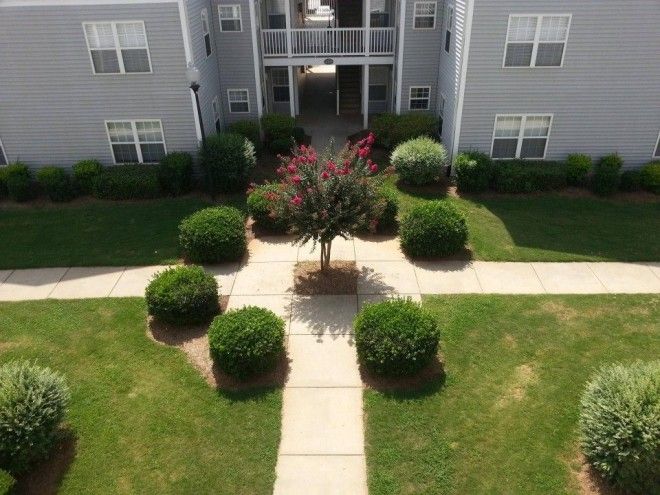 перфекционизм