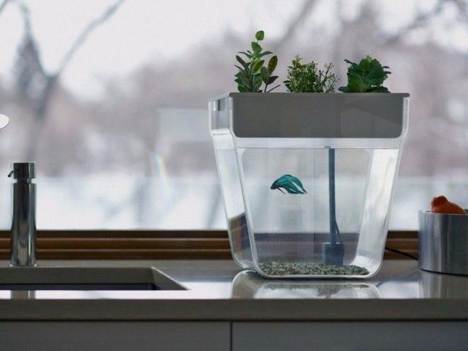 Я хочу это прямо сейчас дизайн картинки креатив