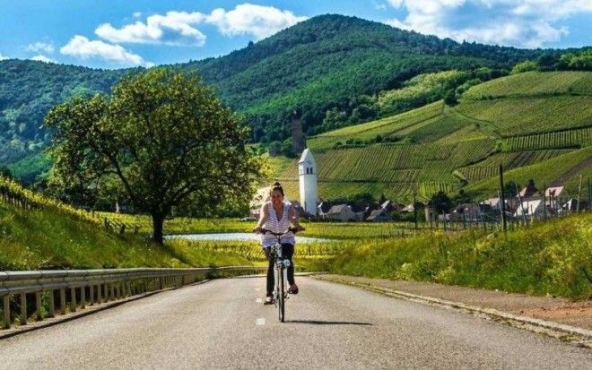 Даника едет через виноградники Эльзаса Франция