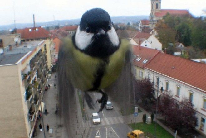 Динамичный кадр