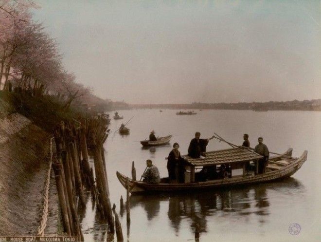 Плавучий дом на воде