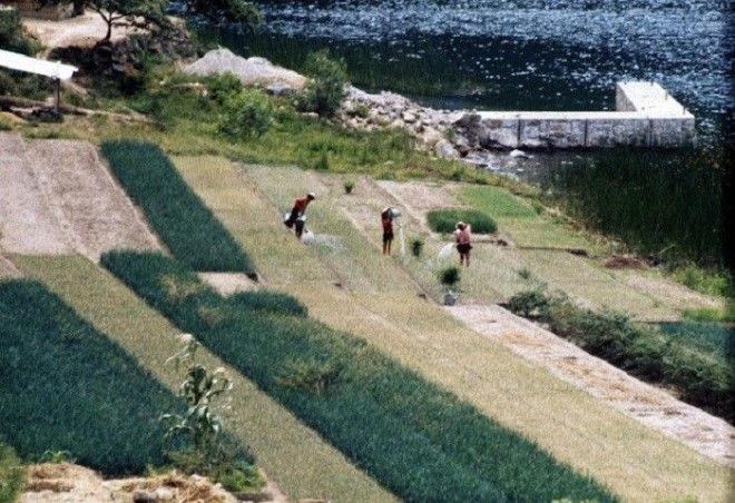 20 колоритных фотографий из повседневной жизни Гватемалы в 1970е годы