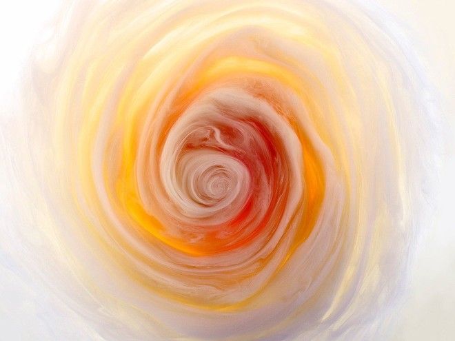Flowers and Swirls цветы из красителей фотосерия Марк Моусон Mark Mawson