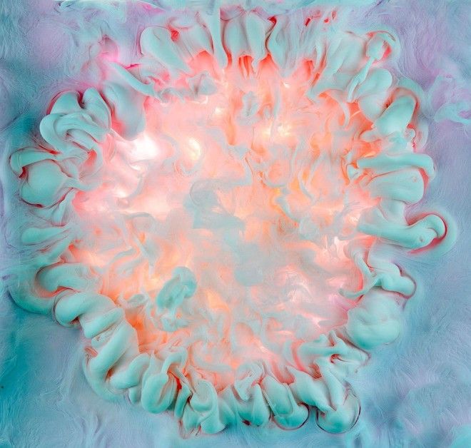 Flowers and Swirls цветы из красителей фотосерия Марк Моусон Mark Mawson