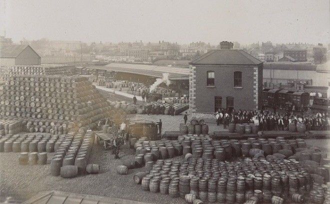 Бочки с пивом марки Guinness. Снимок начала XX века. | Фото: census.nationalarchives.ie. Бочки с пивом марки Guinness Снимок начала XX века Фото censusnationalarchivesie