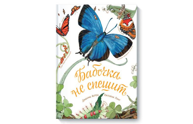 Бабочка не спешит. Бабочка не спешит