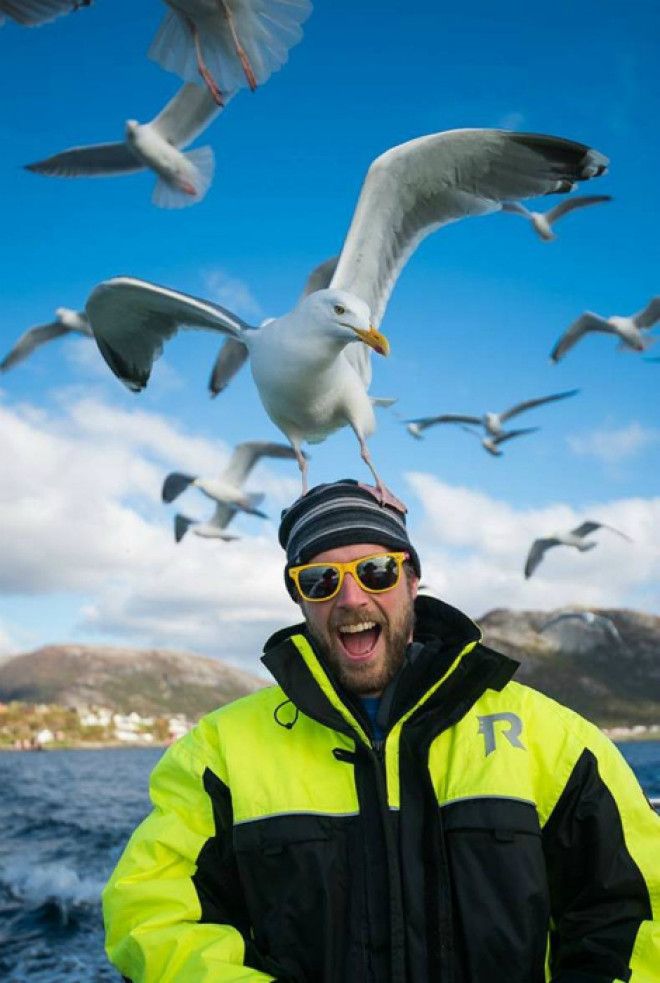 Момент кражи