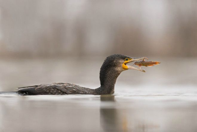 За секунду до