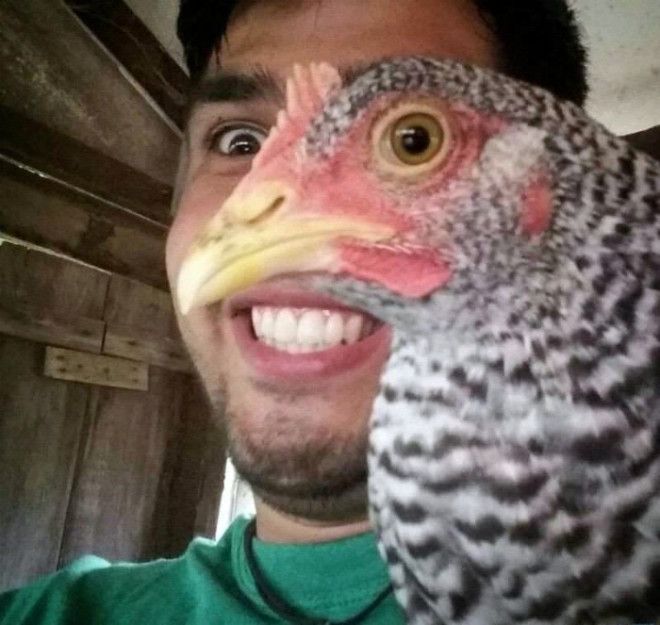 Куриным глазом