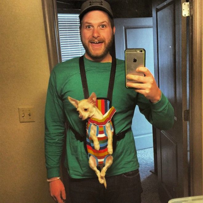 Маленькая собачка