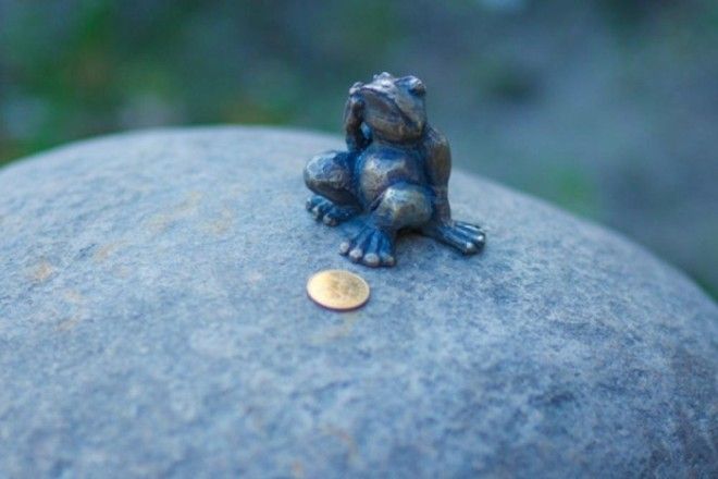 Лягушкапутешественница из Томска