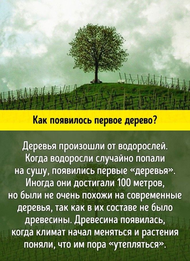 10 грандиозных научных ответов на самые простые детские вопросы