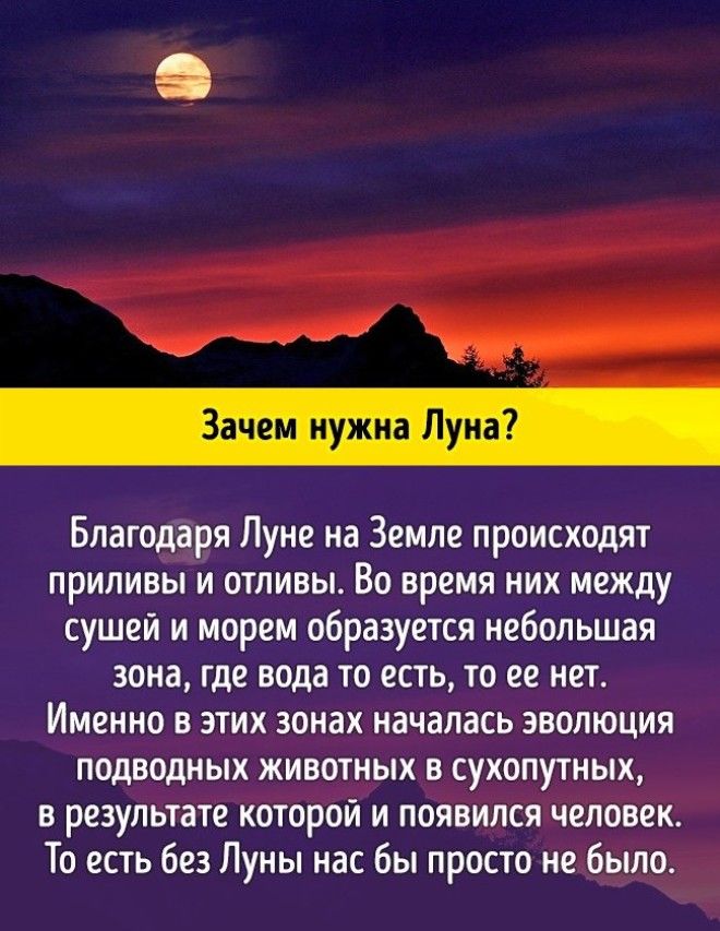 10 грандиозных научных ответов на самые простые детские вопросы