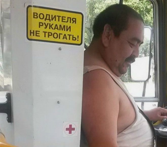 Водительнедотрога