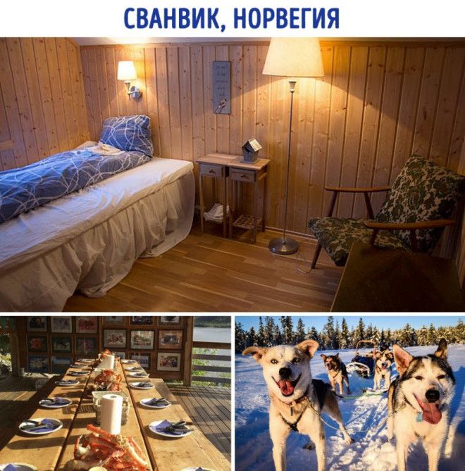 Какой отель можно снять за 50 долларов в разных странах 