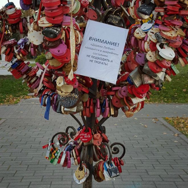 Дерево Любви