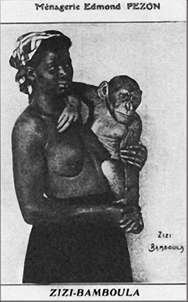 Забытые истории человеческих зоопарков