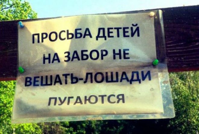 Пугливые лошадки