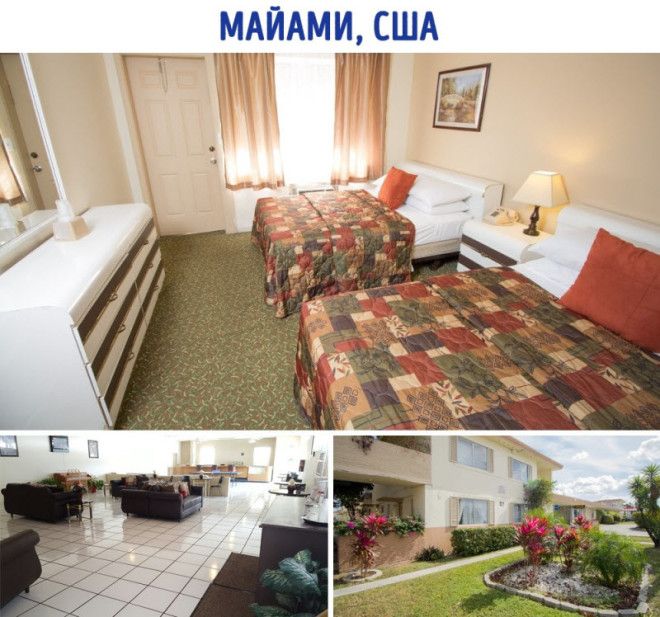 Какой отель можно снять за 50 долларов в разных странах 