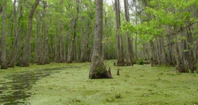 10 самых страшных мест на земле