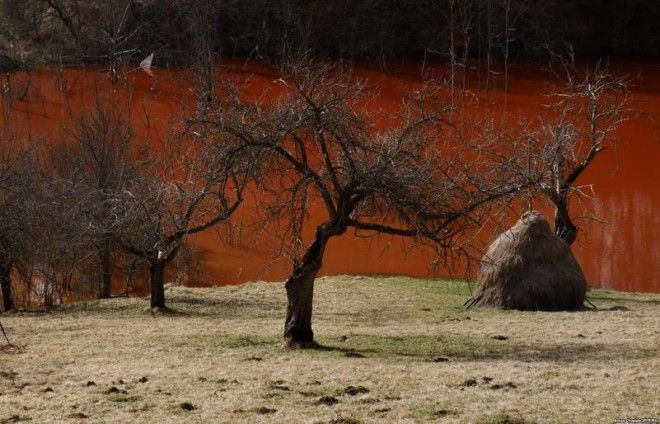 Джамэна жизнь в медной трясине