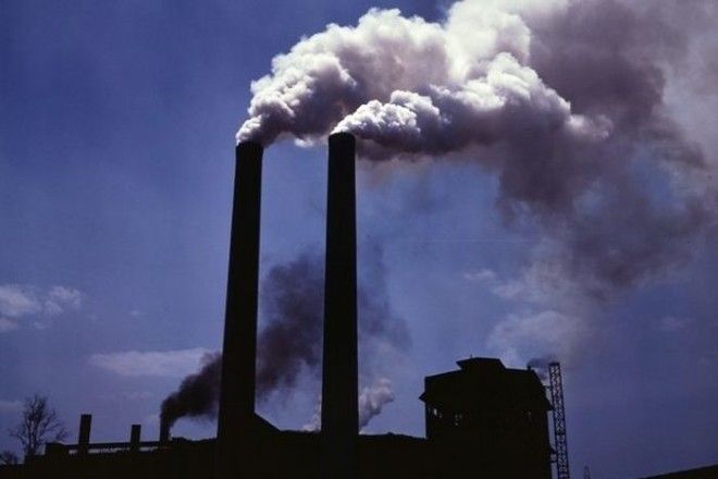 15 фактов о том как изменится Земля если человечество вымрет