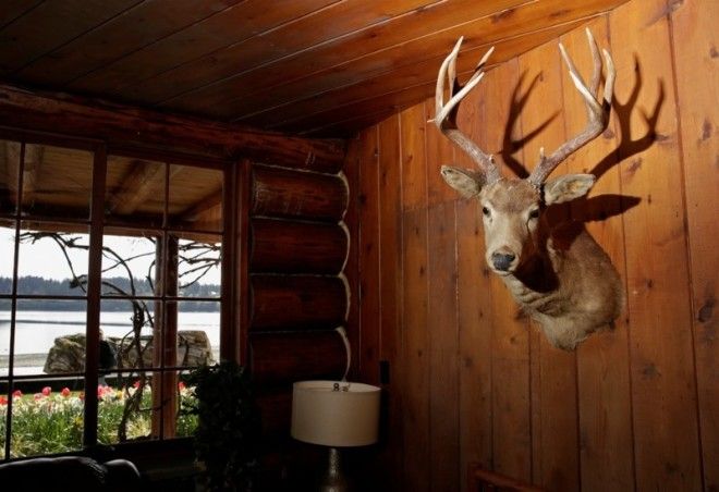 Твин Пикс в реальной жизни 12 фото настоящих мест из легендарного сериала