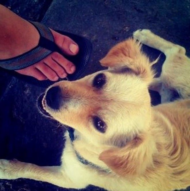 Старейшие фотографии от первого дагеротипа до первого поста в Instagram