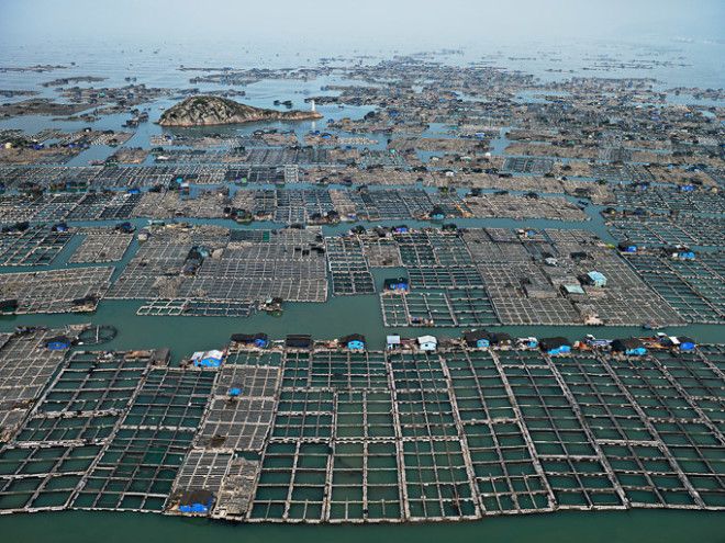 влияние промышленности на водные ресурсы фотографии Эдвард Буртинский Edward Burtynsky