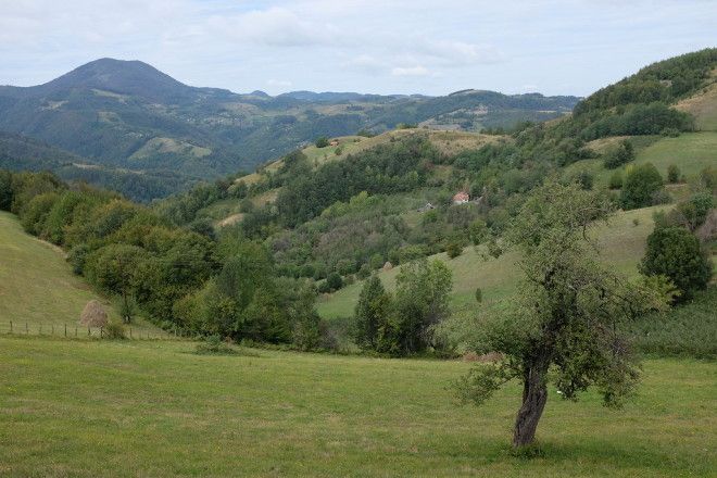 Kusturica01 Деревня Эмира Кустурицы