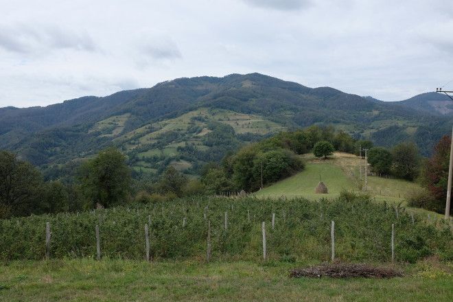 Kusturica03 Деревня Эмира Кустурицы