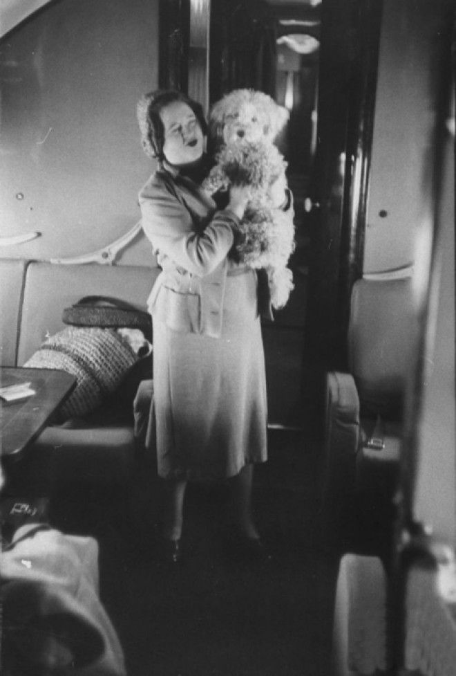 Пассажирка со своим четвероногим питомцем