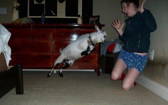 Не стоило этой девушке давать козлу повод учуять ее страх