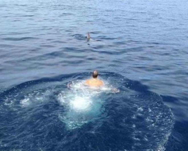 Перед тем как идти купаться нужно обязательно проверить нет ли поблизости акулы