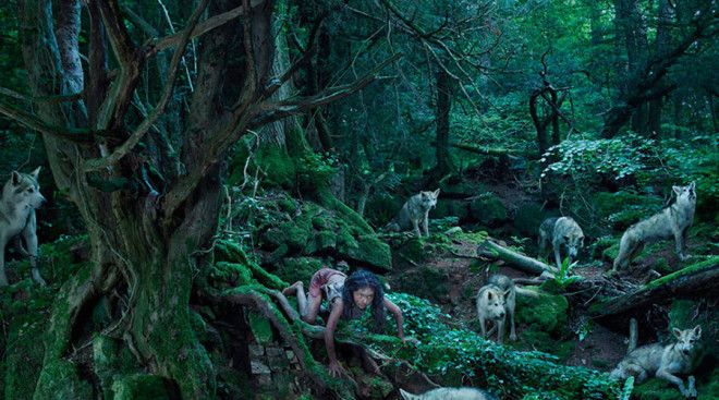 Лобо Мексика Крестьяне заметили девочку среди стаи волков, напавших на отару овец. В 1845 году явление дикого человека никого особо не удивило — мистика и колдовство считались само собой разумеющимися вещами. За девочкой охотились десять лет, но поймать ее так и не удалось.