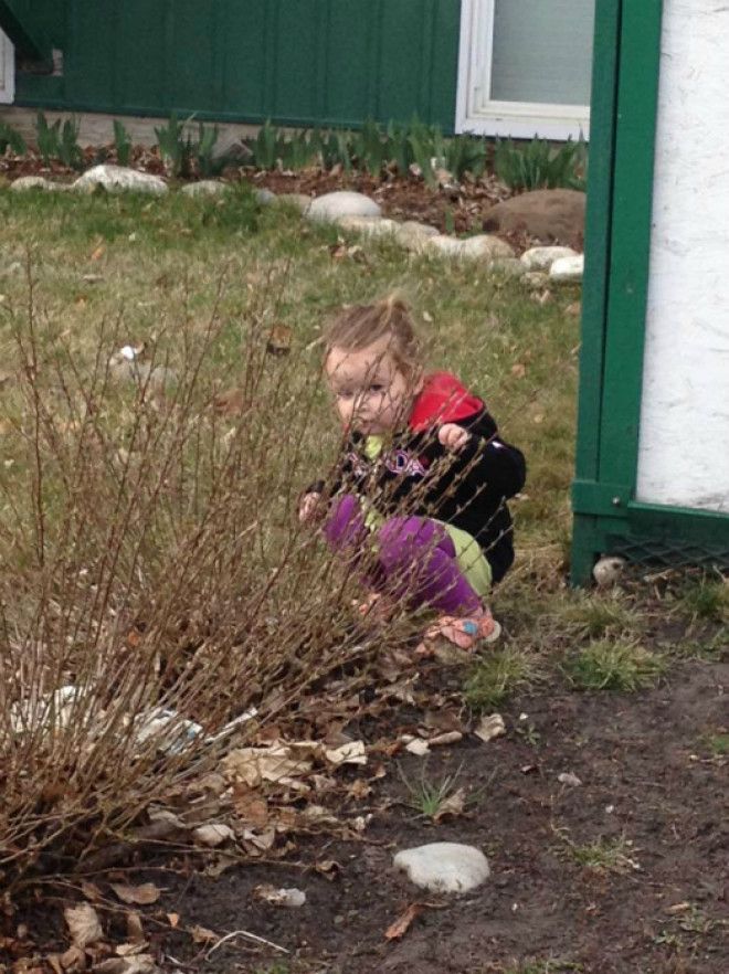 За голым кустом