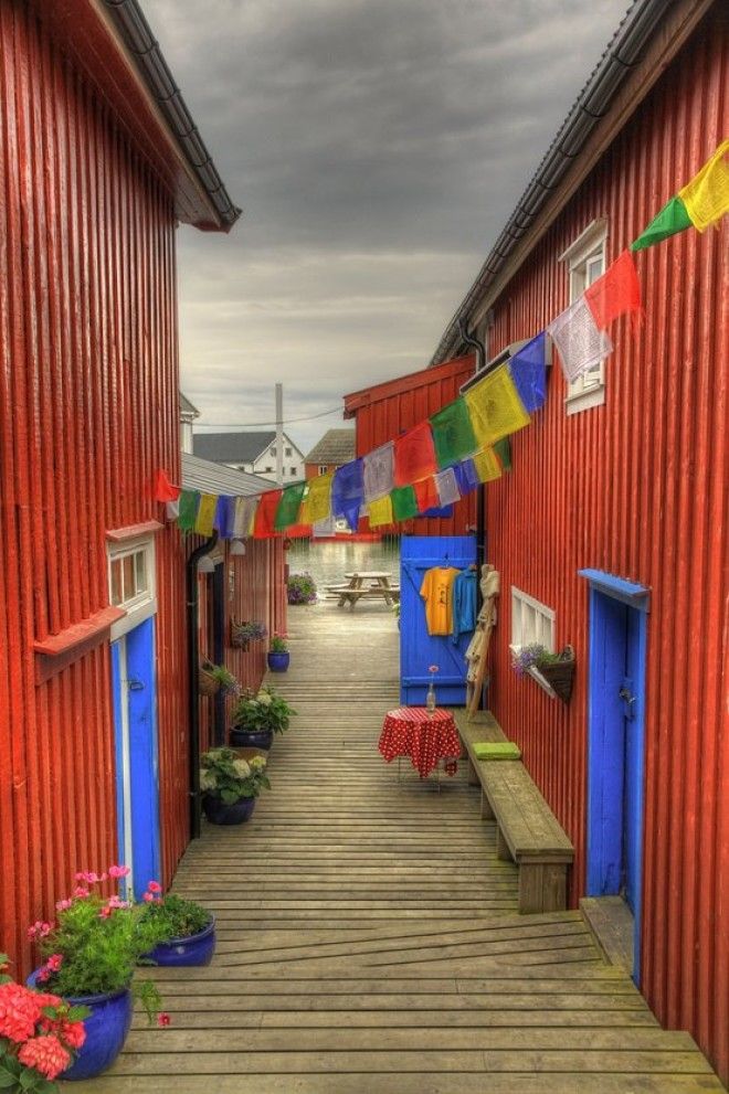 398061520226051350790668301084n