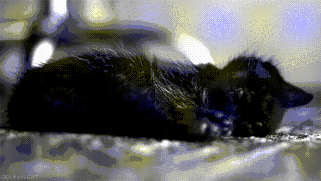 8 уникальных показателей повышения качества жизни от чтения перед сном