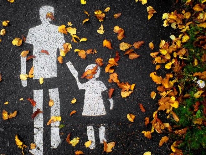 В каких странах самые большие штрафы для водителей