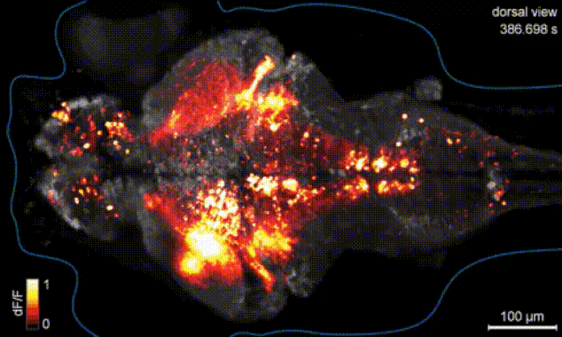8 уникальных показателей повышения качества жизни от чтения перед сном