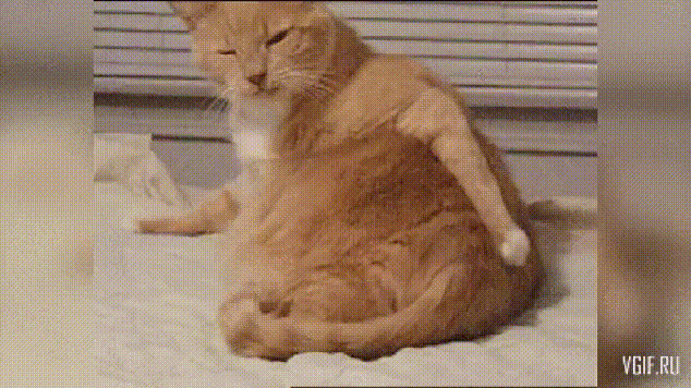 11 вещей которые ты не сможешь игнорировать как бы ты ни пытался