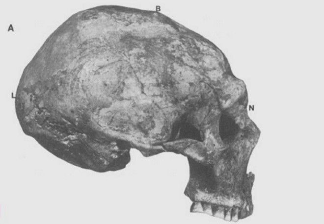 10 древних черепов деформированных по моде