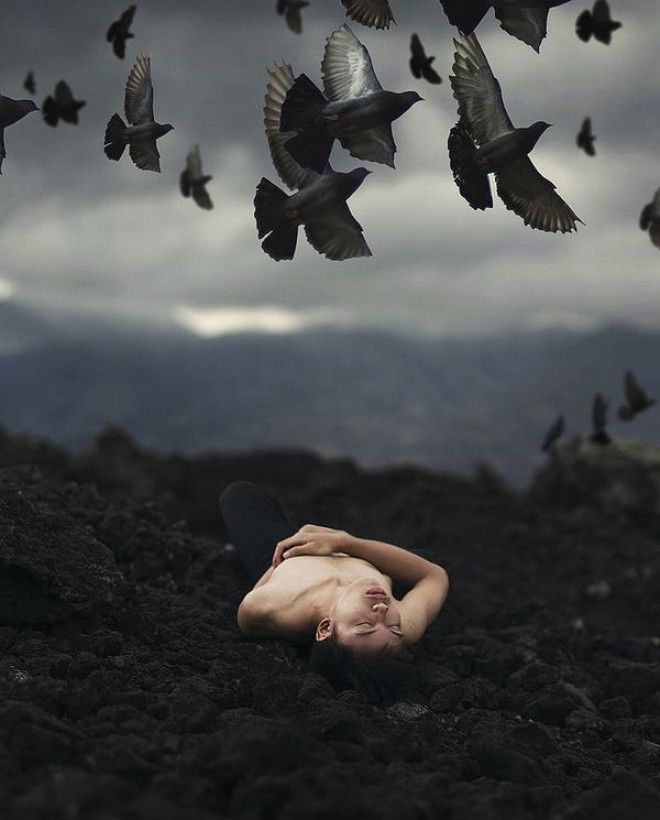 a52acbd9224159adefb86bf4e287debc