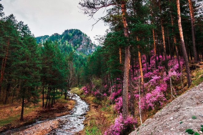 мистический Алтай